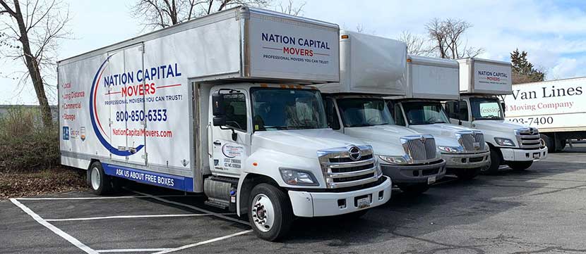 Reliable office movers We have all of the required special equipment to move your office safely.