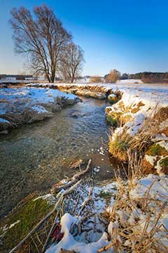 A picture of the nature in Stafford, VA